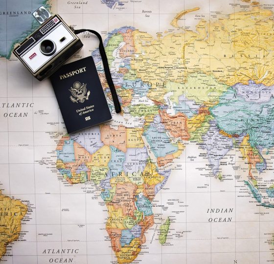 手机屏幕上 ip归属地查询 App 的世界地图定位视图，一枚玫红色标记落在地图对应城市位置